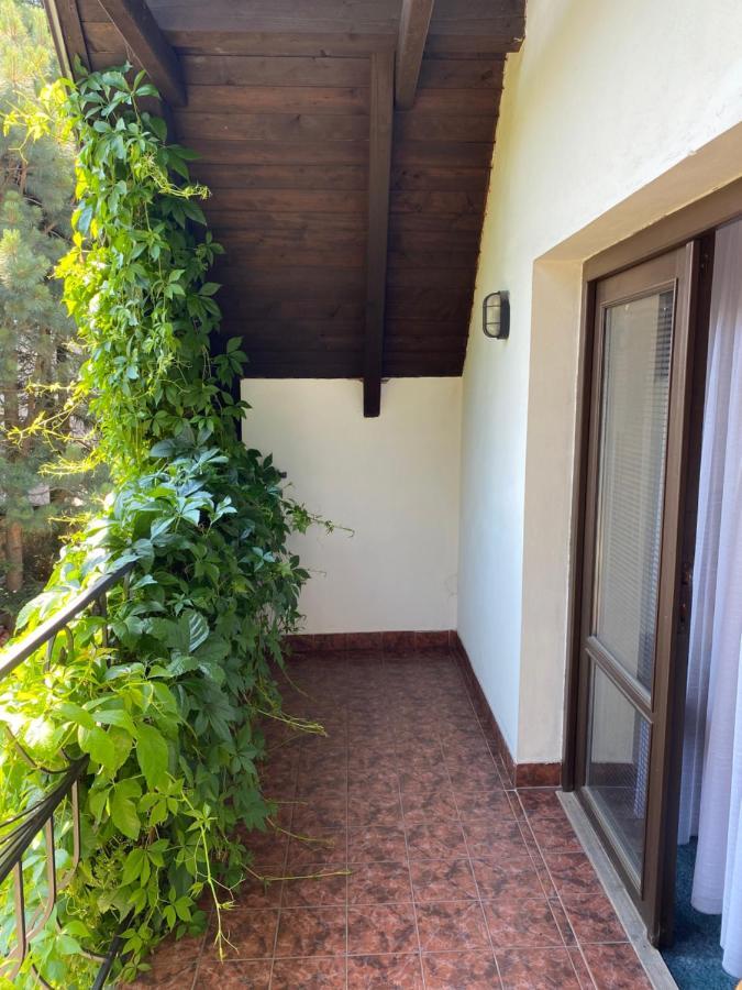 Žamberk Penzion Country Club酒店 外观 照片